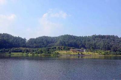 廣州南郊最大森林公園的觀光服務(wù)體驗(yàn)