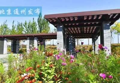 面積超400畝！通州又添休閑新地標(biāo)，城市綠肺開(kāi)門(mén)迎客