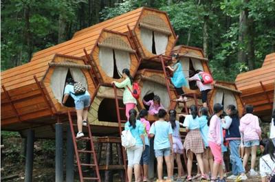 雙星閃耀林海間 朱雀與太平國(guó)家森林公園共獲2019全國(guó)森林康養(yǎng)產(chǎn)業(yè)殊榮